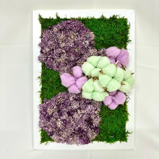 Фитокартина «Summer Violet» из стабилизированного мха и сухоцветов