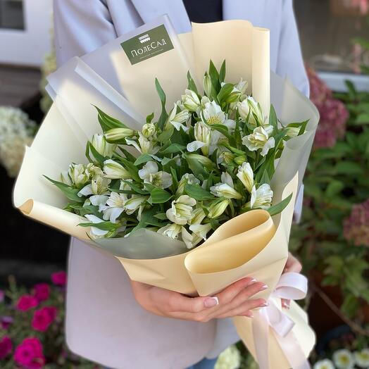 Eternal love/ stock alstroemeria