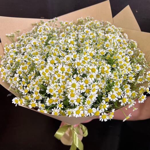 Букет из ромашки (60см)