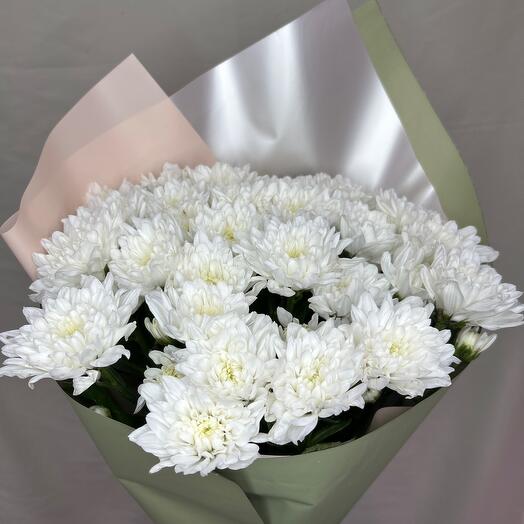 Chrysanthemum