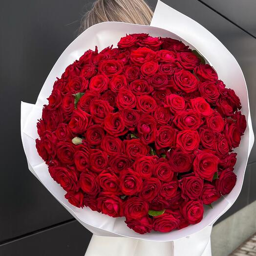 101  роза 🥀