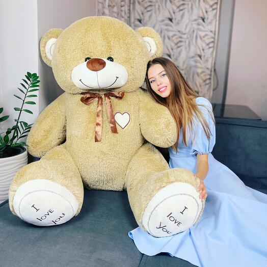 Big Stuffed Toy Alex Bear 200cm Coffee