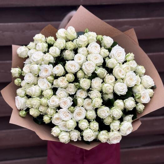 51 rosa de arbusto blanco en la elaboración