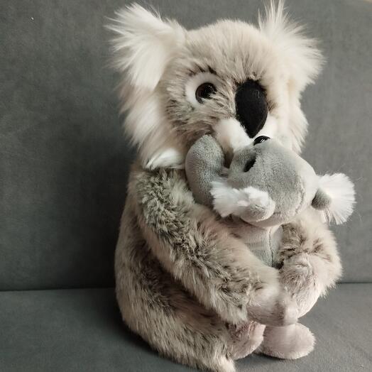 Коала с малышом