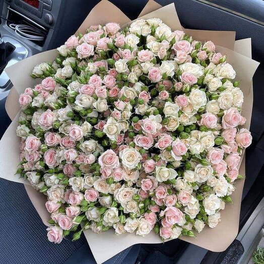 101 кустовая Роза 🌹