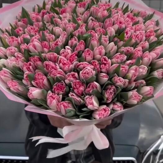 120 Pink Tulips