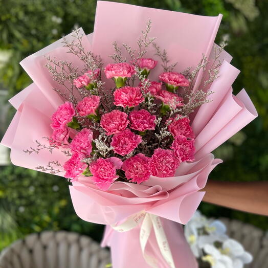 Sweet Pink Carnations