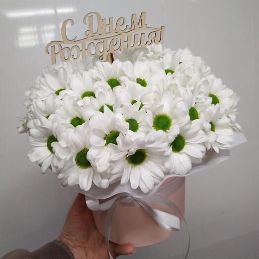 Цветы в коробке ромашки хризантема кустовая