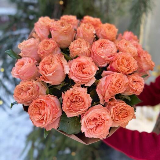 A peony-Shaped Rose. 25 roses in a stylish package