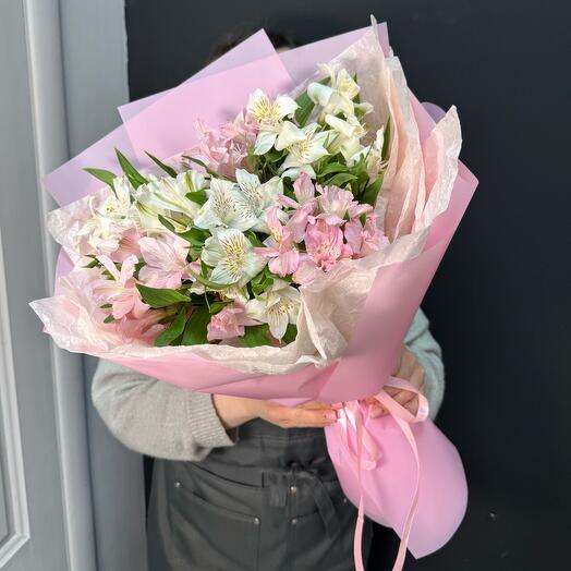 Gentle alstroemeria