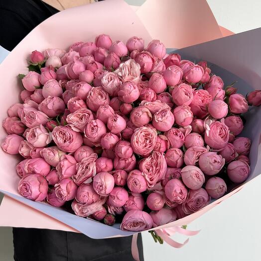 35 пионовидных роз Silvia pink