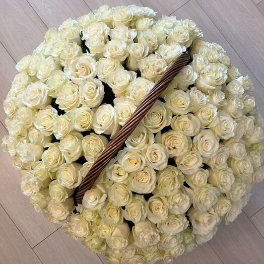 Корзина с 101 белой , импортной розой в корзине