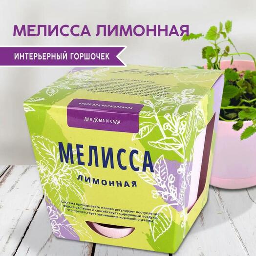 Набор для выращивания растений Тысяча листьев Мелисса лимонная