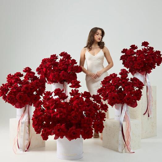 Подарок 😍🌹