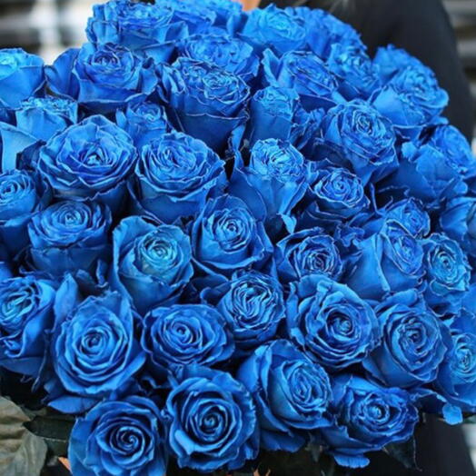 25 Blue Roses