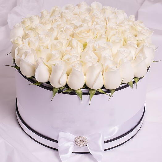 55 White Rose