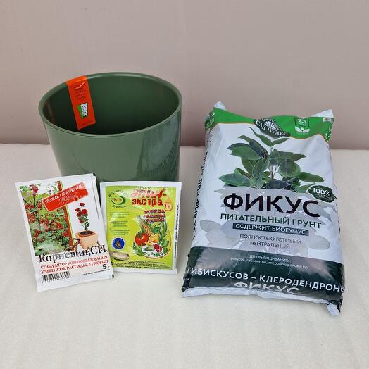 Горшок зелёный и грунт для фикусов