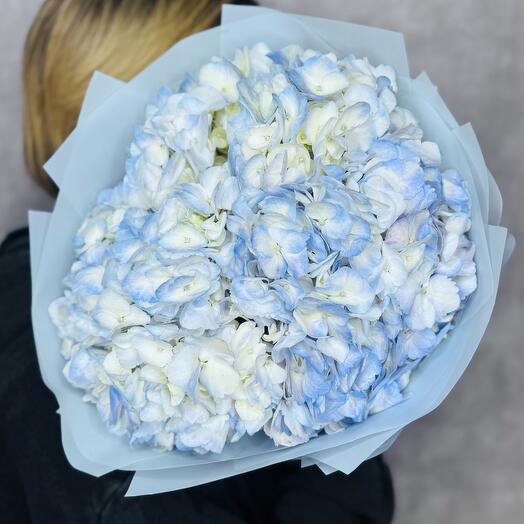Голубое облако ☁️🩵: 3 объемные воздушные гортензии для нее 🌸💕. Букет для девушки без повода 🤩