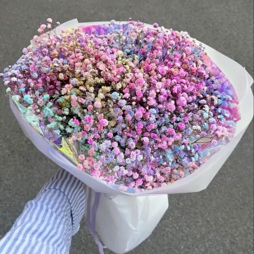 Гипсофила радужная 🦄