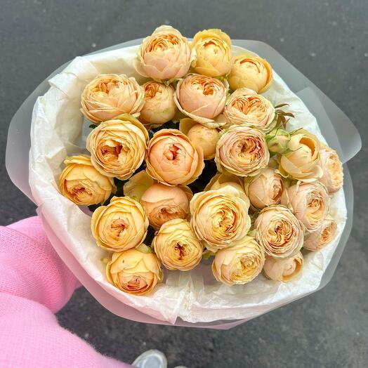 Пионовидные кустовые розы SWEET CATALINE,9 шт