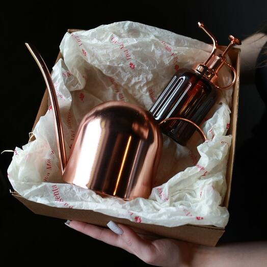 Подарочный набор Bronze Box