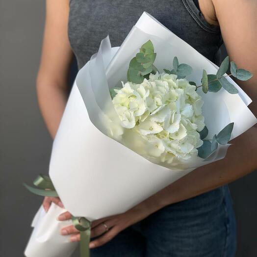 Hortensia