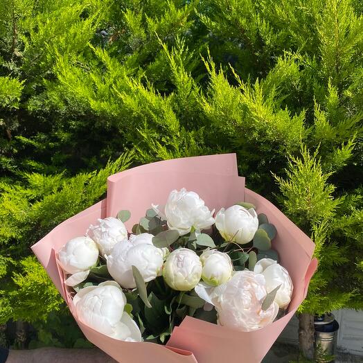 10 White Peony