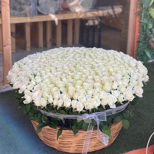 White rose basket