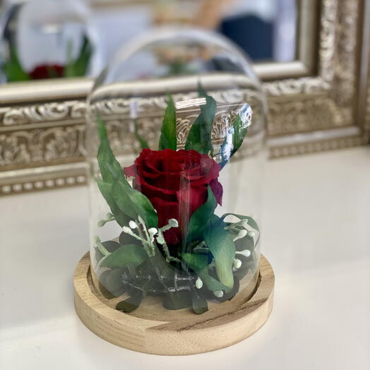 Ewige Rose in Glaskuppel – Zeitlose Schonheit