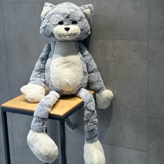 Кот длинные ноги