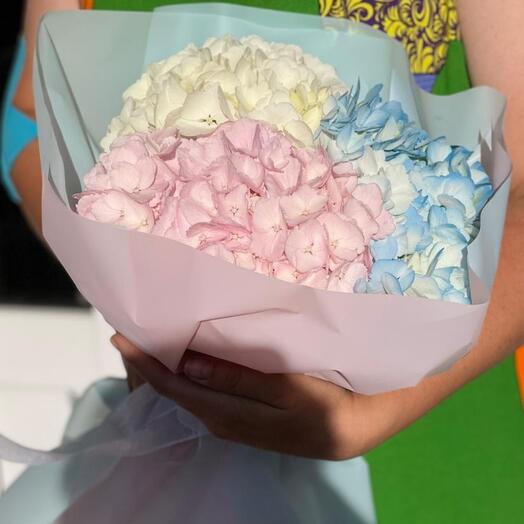 Bouquet of hydrangeas