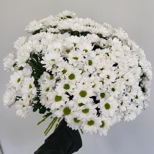 Монобукет из белых хризантем