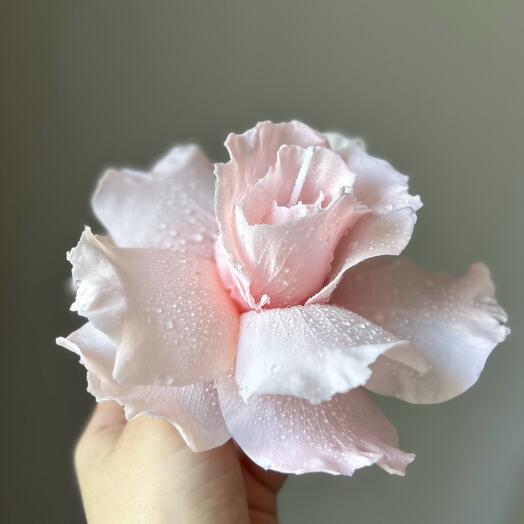 Pinky French rose candle 🩷