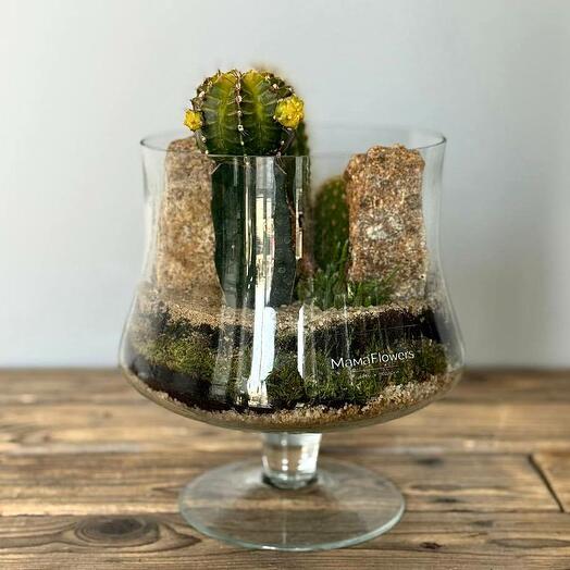 Каменный остров