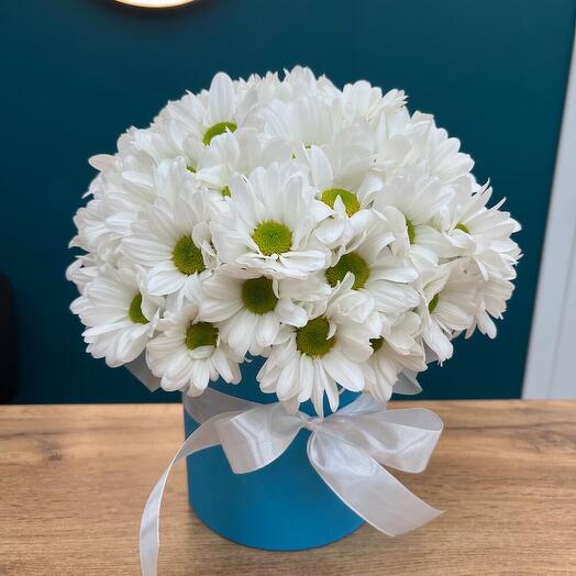 Ромашки в голубой коробке