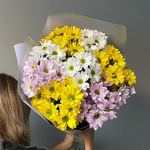 Букет из 9 кустовых хризантем (микс)