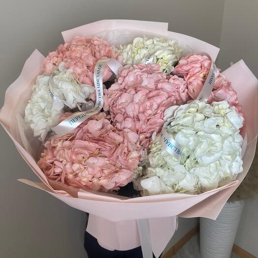 Нежность🌸