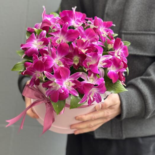 Фиолетовый 💜 дендробиум