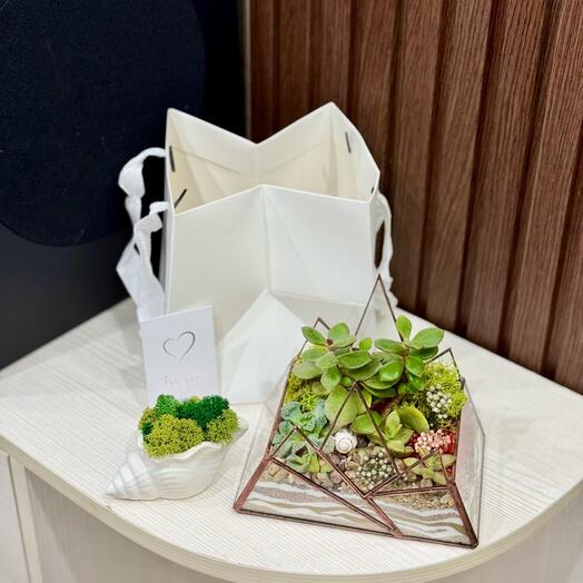 Комбо Ракушка со мхом и флорариум с цветами