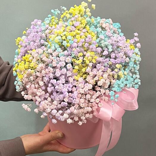 Composition of rainbow Gypsophila
