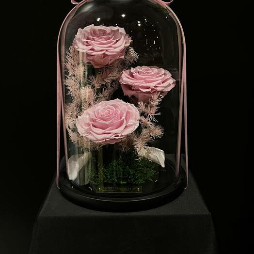«Rose Elegance Dome»