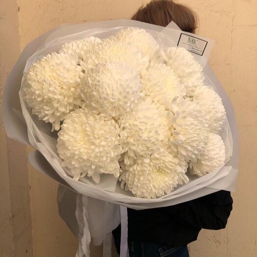 Белые одноголовые хризантемы, большие , ХИТ