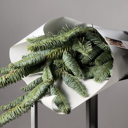 Хвоя «Растим». Нобилис