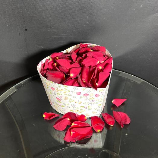 Много алых лепестков розы живых