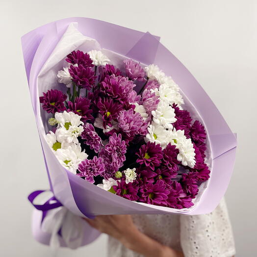Mix chrysanthemums