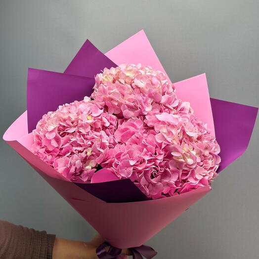 Розовые гортензии