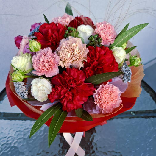 Dianthus Holland