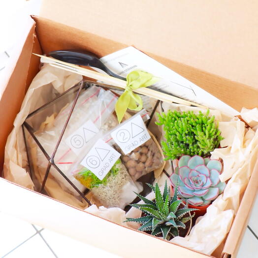 A set for creating a florarium S