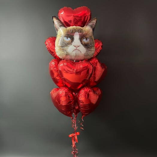 Грустный кот