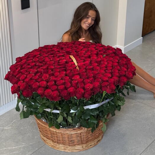 201 Роза в корзине огромный подарок роз